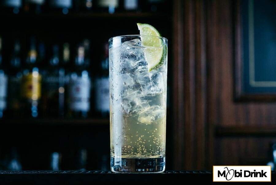 Prosty drink Soplica Mirabelkowa z tonikiem